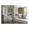 Picture of <3 Leaf Back To Wall WC & Soft Close Seat