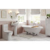 Picture of <3 Daisy Close Coupled Open Back WC & Soft Close Seat