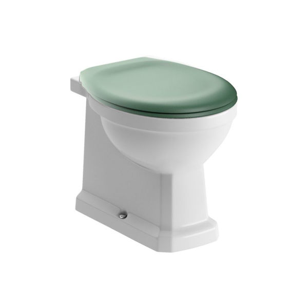 Picture of <3 Cactus Back To Wall WC & Sage Green Soft Close Seat