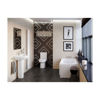 Picture of <3 Iris Back To Wall WC & Soft Close Seat